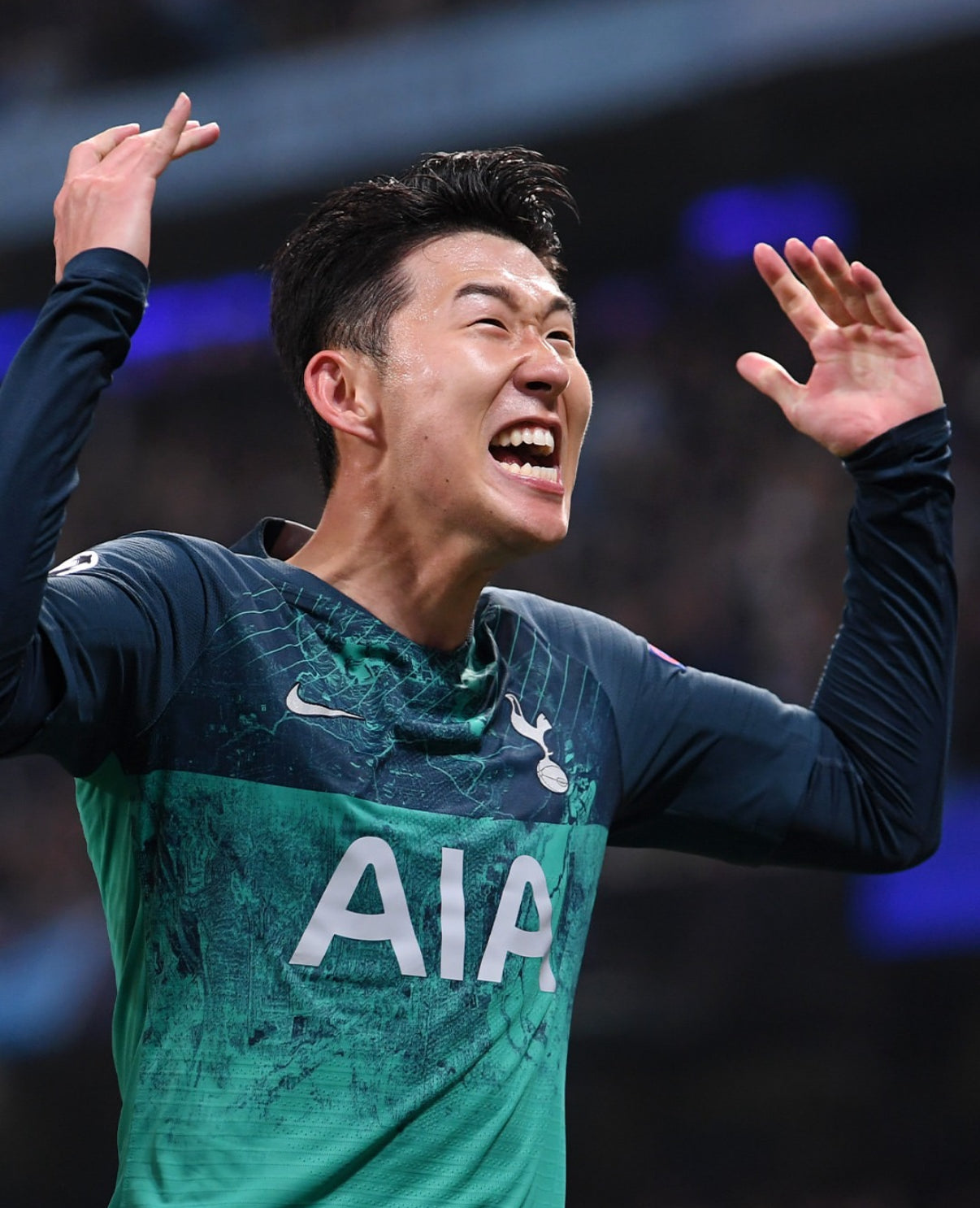 Tottenham Hotspur 2018/2019 Third Kit