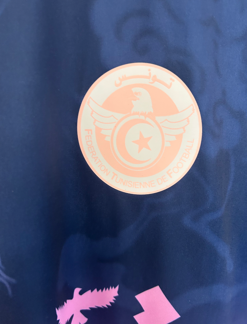 Tunisia Carthage Eagles Jersey Pink Blue
