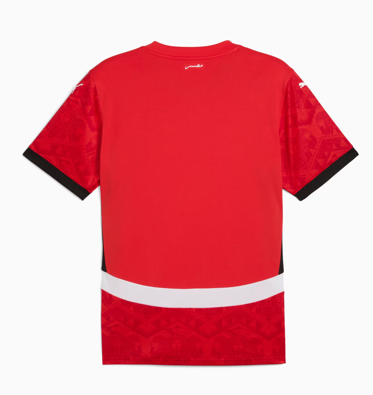 Maillot domicile Egypte 2024/2025