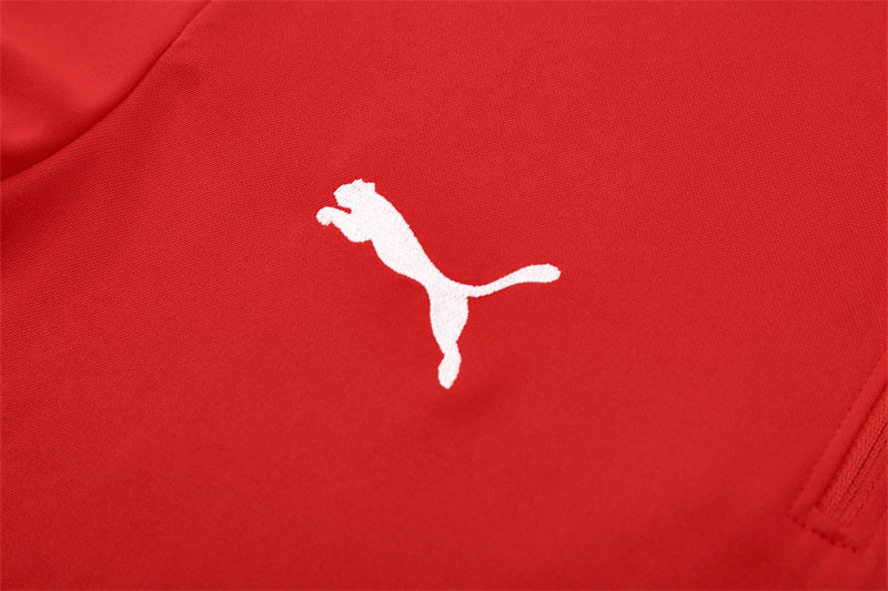 Portugal red Tracksuit 2025 2026