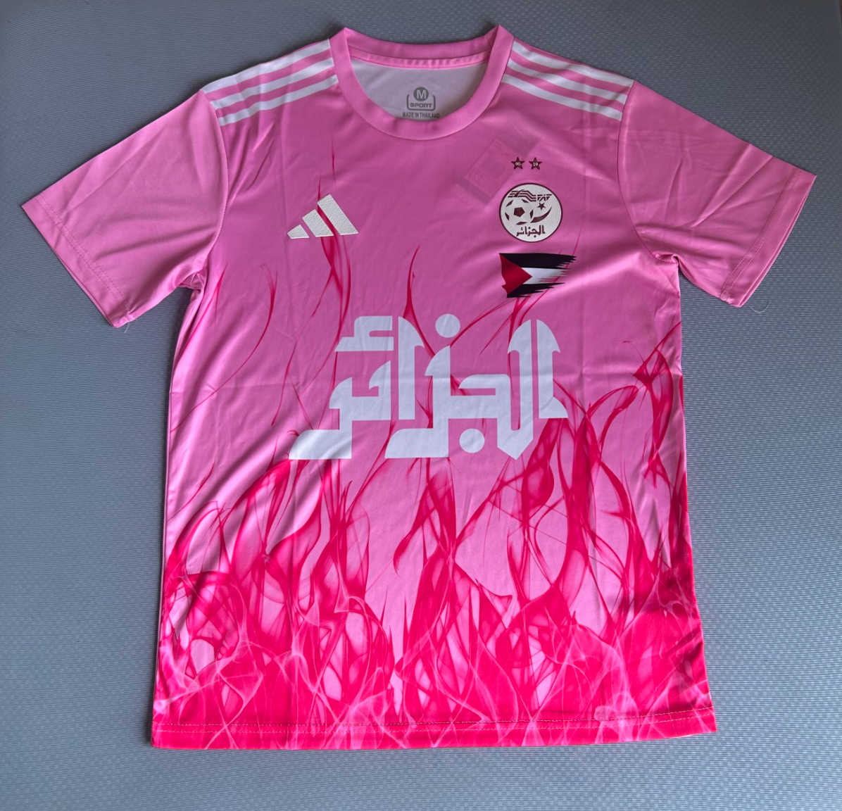 Palestine Algeria Pink Special Edition Jersey 25/26
