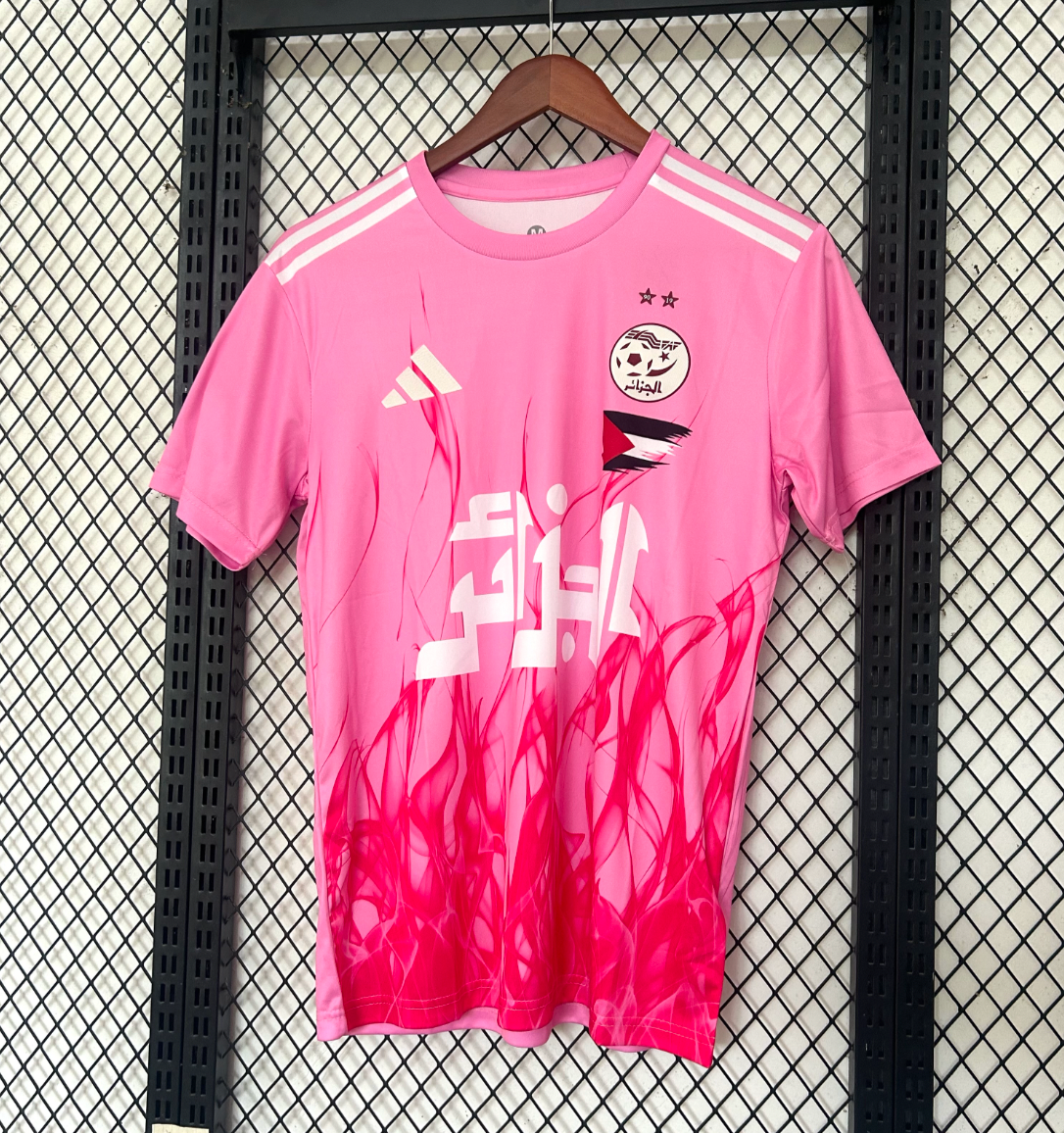 Palestine Algeria Pink Special Edition Jersey 25/26
